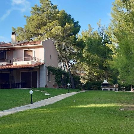 Sithonia Alekos Luxury Experience Lejlighed Metamorfosi  Eksteriør billede