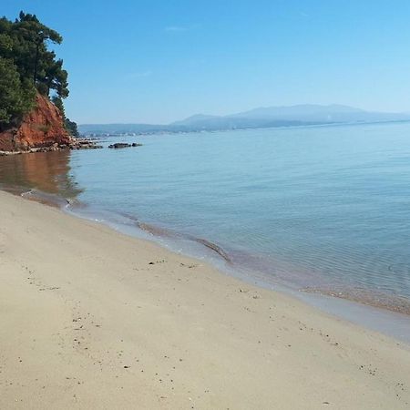 Sithonia Alekos Luxury Experience Lejlighed Metamorfosi  Eksteriør billede