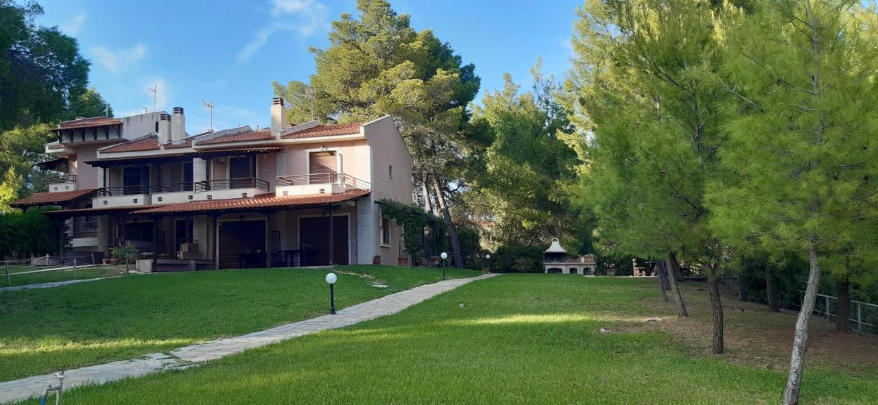 Sithonia Alekos Luxury Experience Lejlighed Metamorfosi  Eksteriør billede