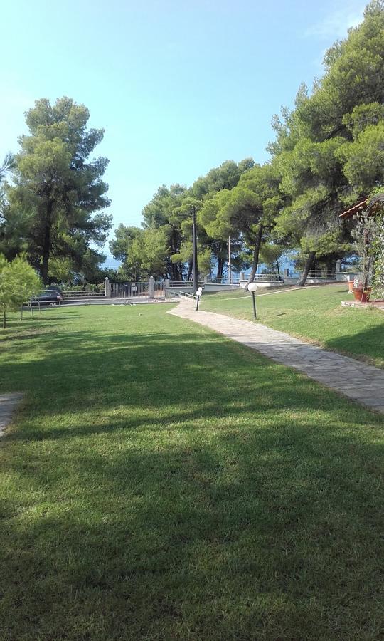 Sithonia Alekos Luxury Experience Lejlighed Metamorfosi  Eksteriør billede