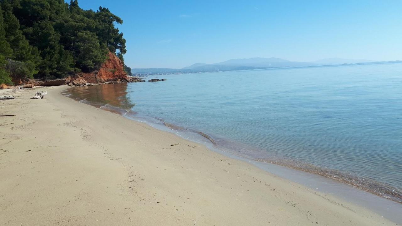 Sithonia Alekos Luxury Experience Lejlighed Metamorfosi  Eksteriør billede